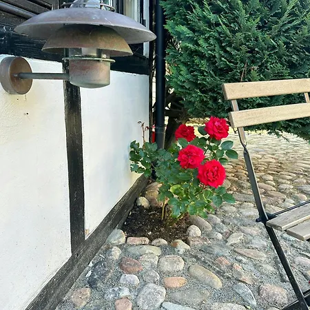 別荘 Half-timbered House With Harbor View In エーベルトフト